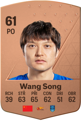Wang Song