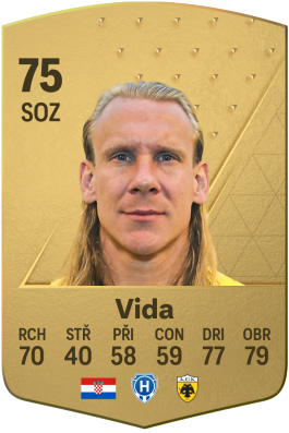 Domagoj Vida