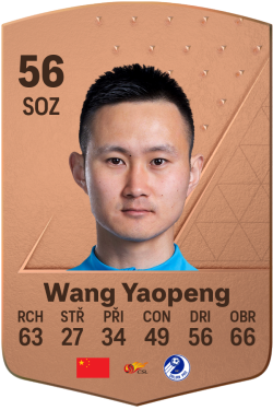 Wang Yaopeng