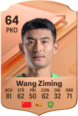 Wang Ziming