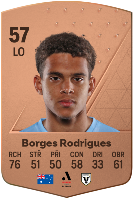 Raphael Borges Rodrigues