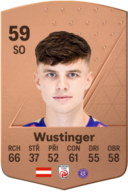 Florian Wustinger