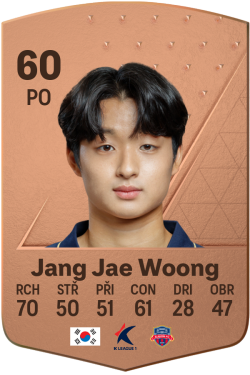 Jang Jae Woong