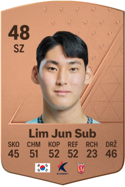 Lim Jun Sub