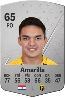 Rodrigo Amarilla