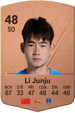 Li Junju