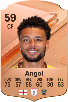 Lee Angol