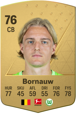 Sebastiaan Bornauw