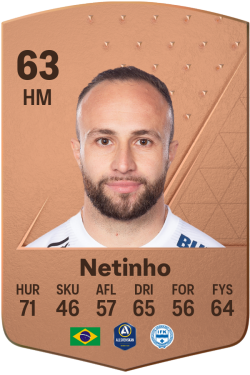 Netinho