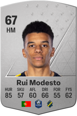 Rui Modesto