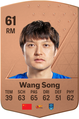 Wang Song