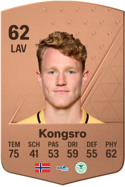 Vegard Kongsro