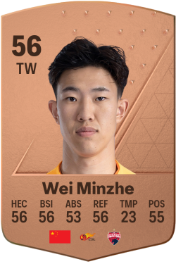 Wei Minzhe