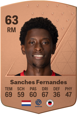 Derensili Sanches Fernandes