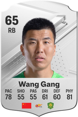 Wang Gang