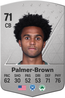 Erik Palmer-Brown EA FC 24
