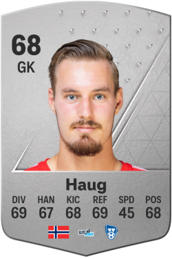 Kjetil Haug EA FC 24