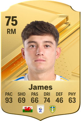 Daniel JamesのEA Sports FC 24 選手レート - Electronic Arts