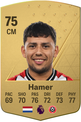 Gustavo Hamer EA FC 24