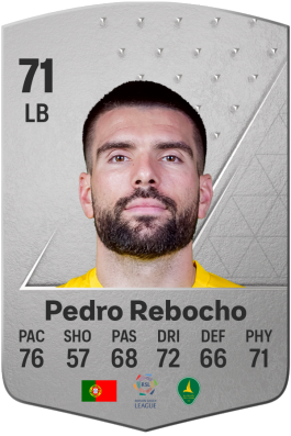 Pedro Rebocho