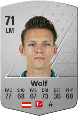 Hannes Wolf EA FC 24