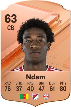 Hassan Ndam EA FC 24