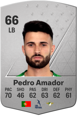 Pedro Miguel Santos Amador EA FC 24