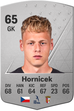 Lukas Hornicek EA FC 24