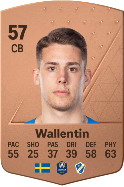 Gabriel Wallentin EA FC 24