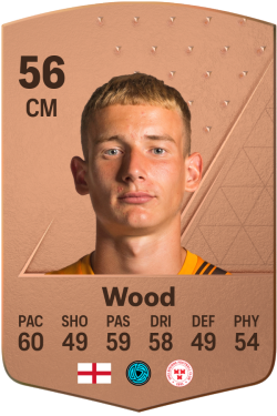 Harry Wood EA FC 24