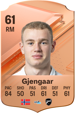 Dennis Gjengaar EA FC 24