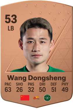 Dongsheng Wang EA FC 24
