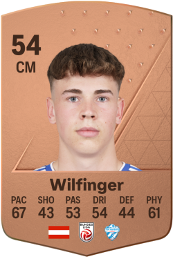 Fabian Wilfinger