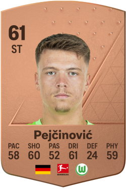 Dženan Pejčinović EA FC 24