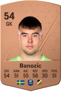 Sebastian Banozic EA FC 24