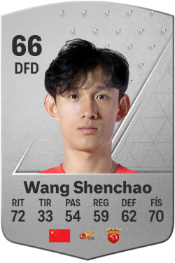 Wang Shenchao