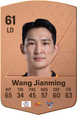 Wang Jianming