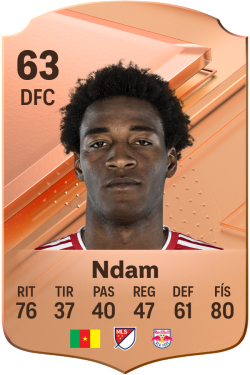 Hassan Ndam