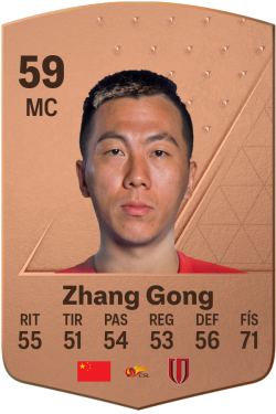 Zhang Gong