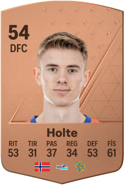 Stian Aarønes Holte