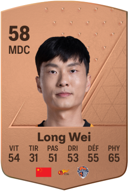 Long Wei