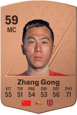 Zhang Gong