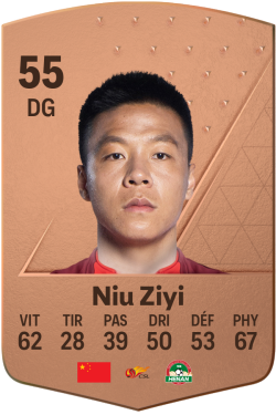 Niu Ziyi