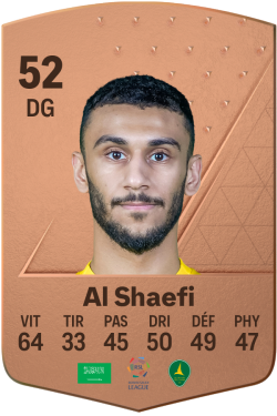 Ali Al Shaefi