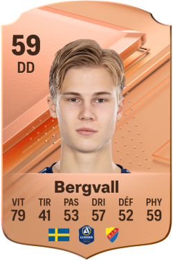 Theo Bergvall