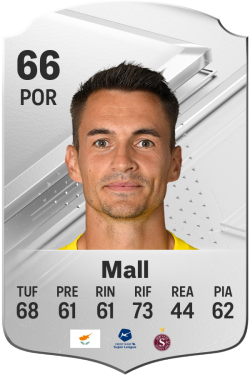 Joël Mall