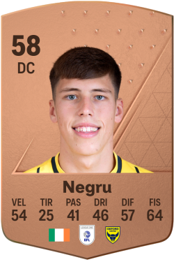 Stephan Negru