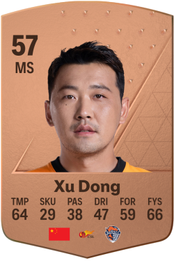 Xu Dong