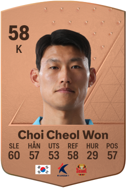 Choi Cheol Won
