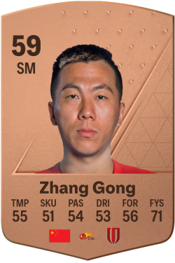 Zhang Gong